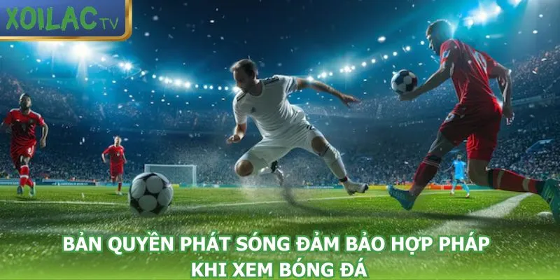ban-quyen-phat-song-dam-bao-hop-phap-khi-xem-bong-da