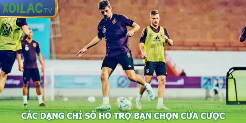 cac-dang-chi-so-ho-tro-ban-chon-cua-cuoc