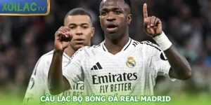 cau-lac-bo-bong-da-real-madrid