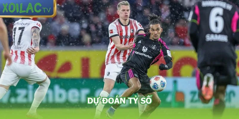 du-doan-ty-so-tran-hamburger-sv-vs-freiburg