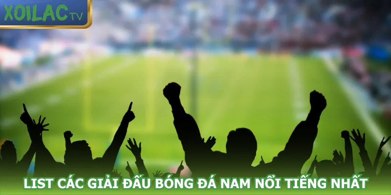 list-cac-giai-dau-bong-da-nam-noi-tieng-nhat