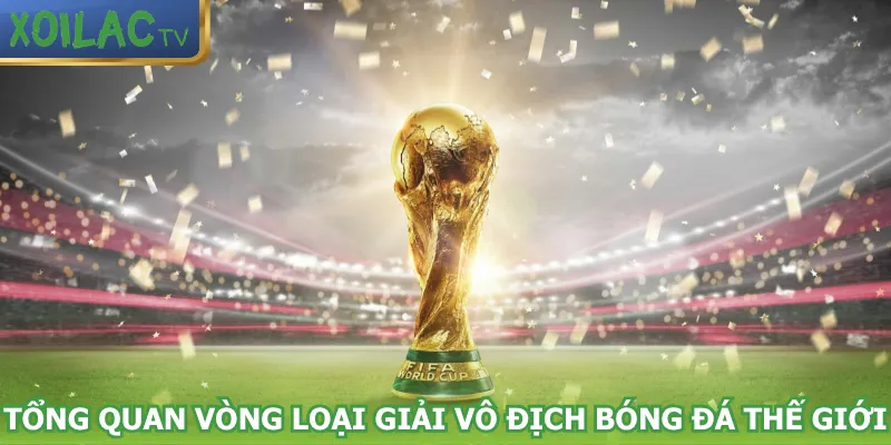 tong-quan-vong-loai-giai-vo-dich-bong-da-the-gioi