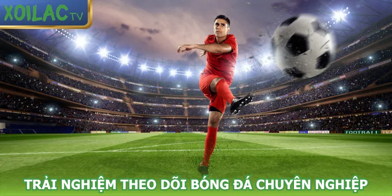 trai-nghiem-theo-doi-bong-da-chuyen-nghiep-hap-dan