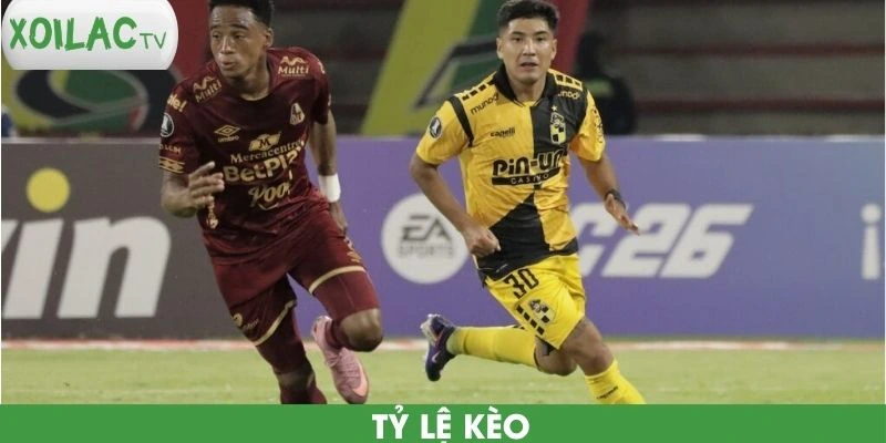 ty-le-keo-coquimbo-unido-vs-tolima